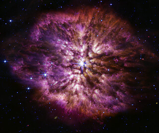 Wolf-Rayet 124 (MIRI image)